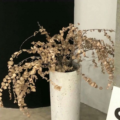 平坝FurryQQ群介绍